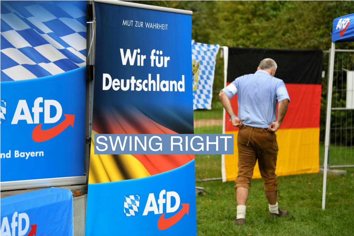 AfD in Germany