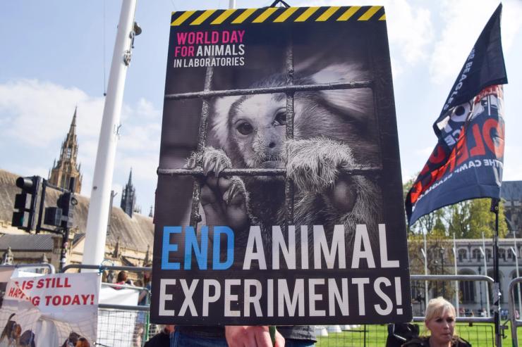 A UK protestor against animal experiments