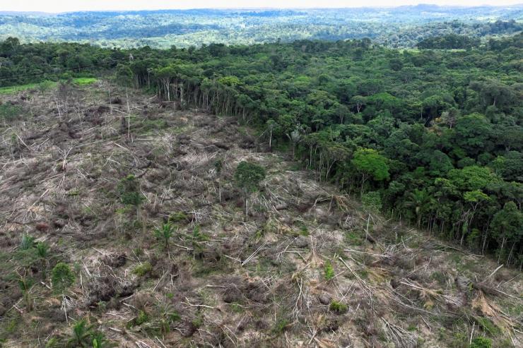 Deforestation of the Amazon rainforest