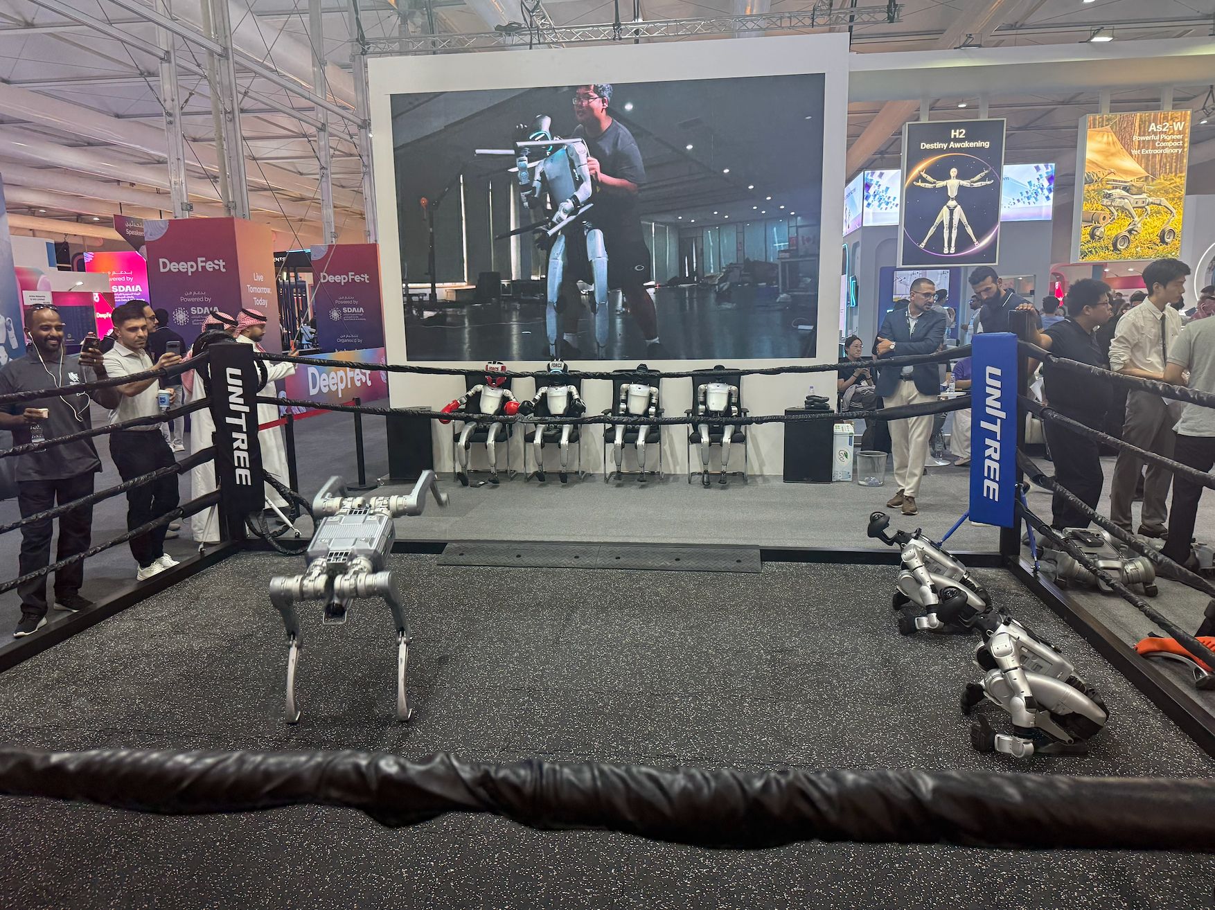 Photo of Unitree’s robots in a boxing ring at LEAP in Riyadh.