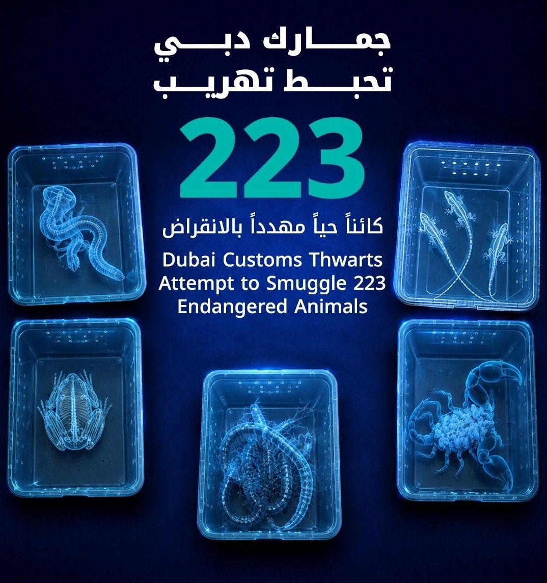 A Dubai Customs image promoting an initiative against smuggling animals.