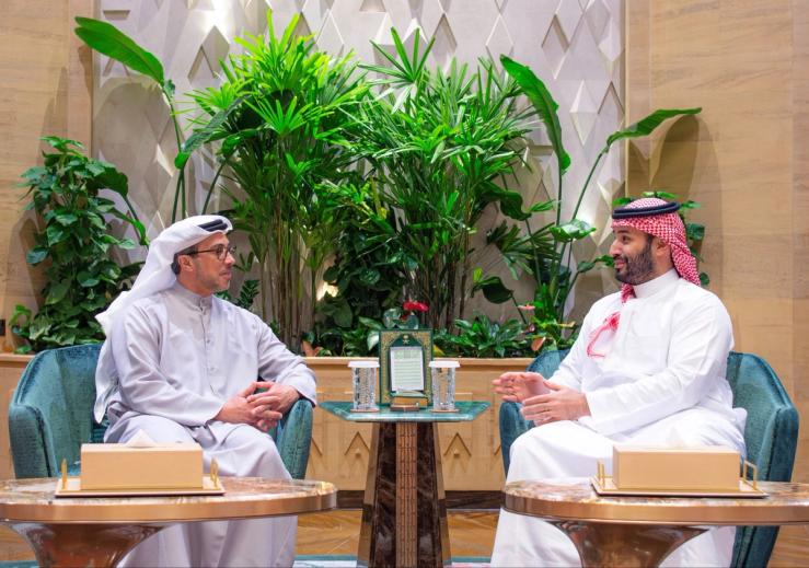 Saudi Crown Prince, Mohammed bin Salman meets UAE Vice President and Deputy Prime Minister, Sheikh Mansour bin Zayed Al Nahyan in Riyadh.
