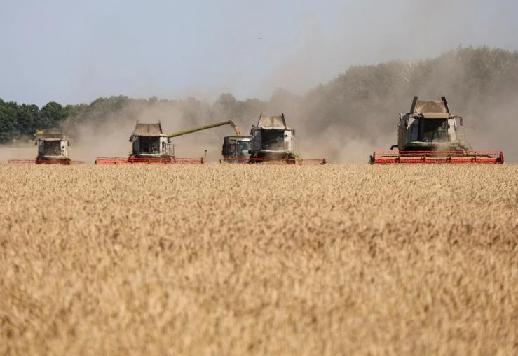 Wheat harvest in Ukraine.