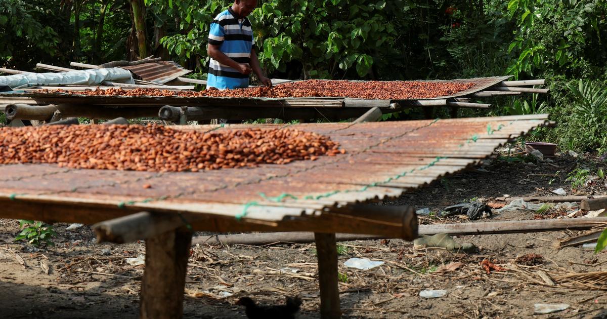 Cocoa giants Ghana, Côte d’Ivoire vow to cooperate on prices