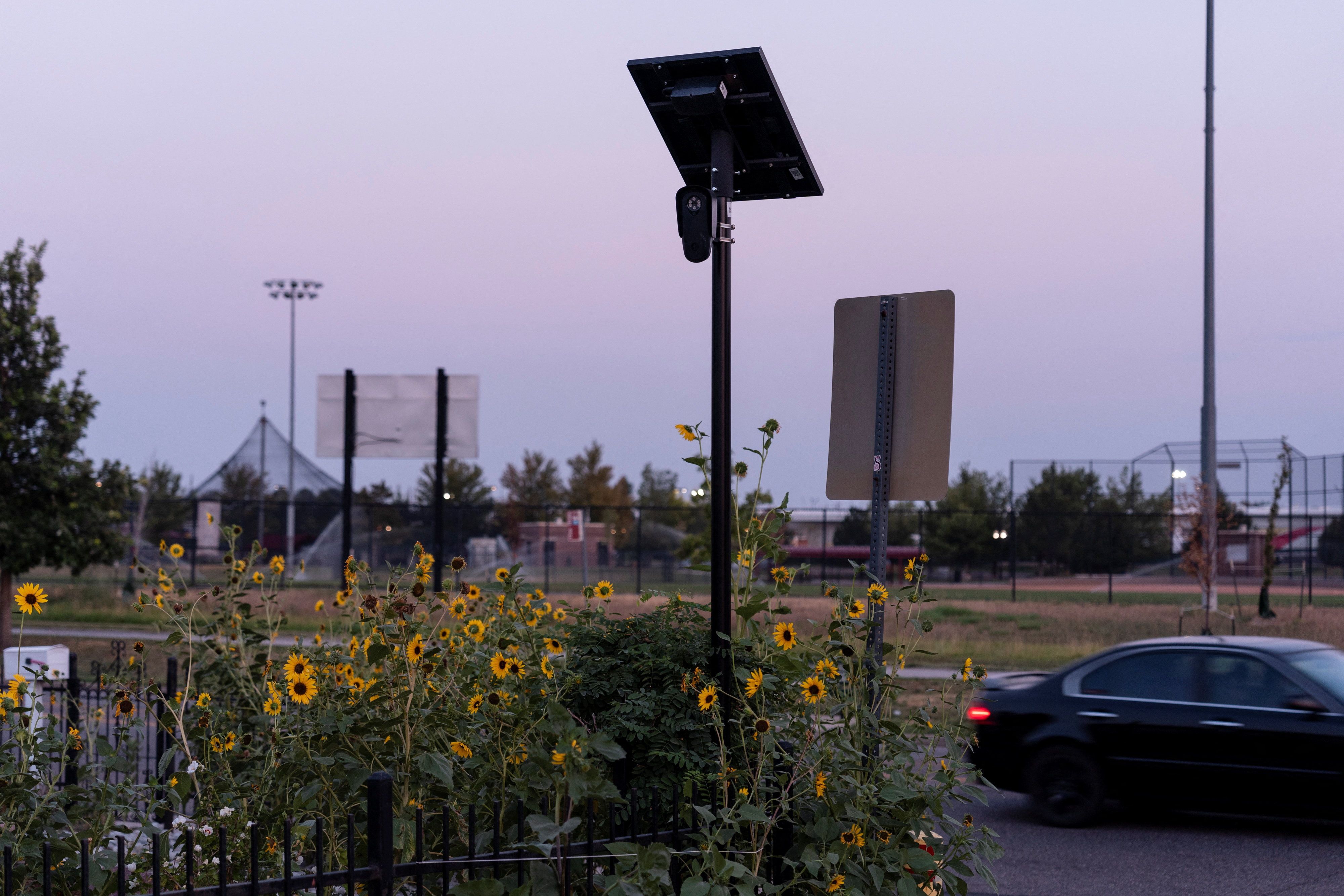 A Flock Safety camera is mounted on a pole amid sunflowers in Commerce City, Colorado