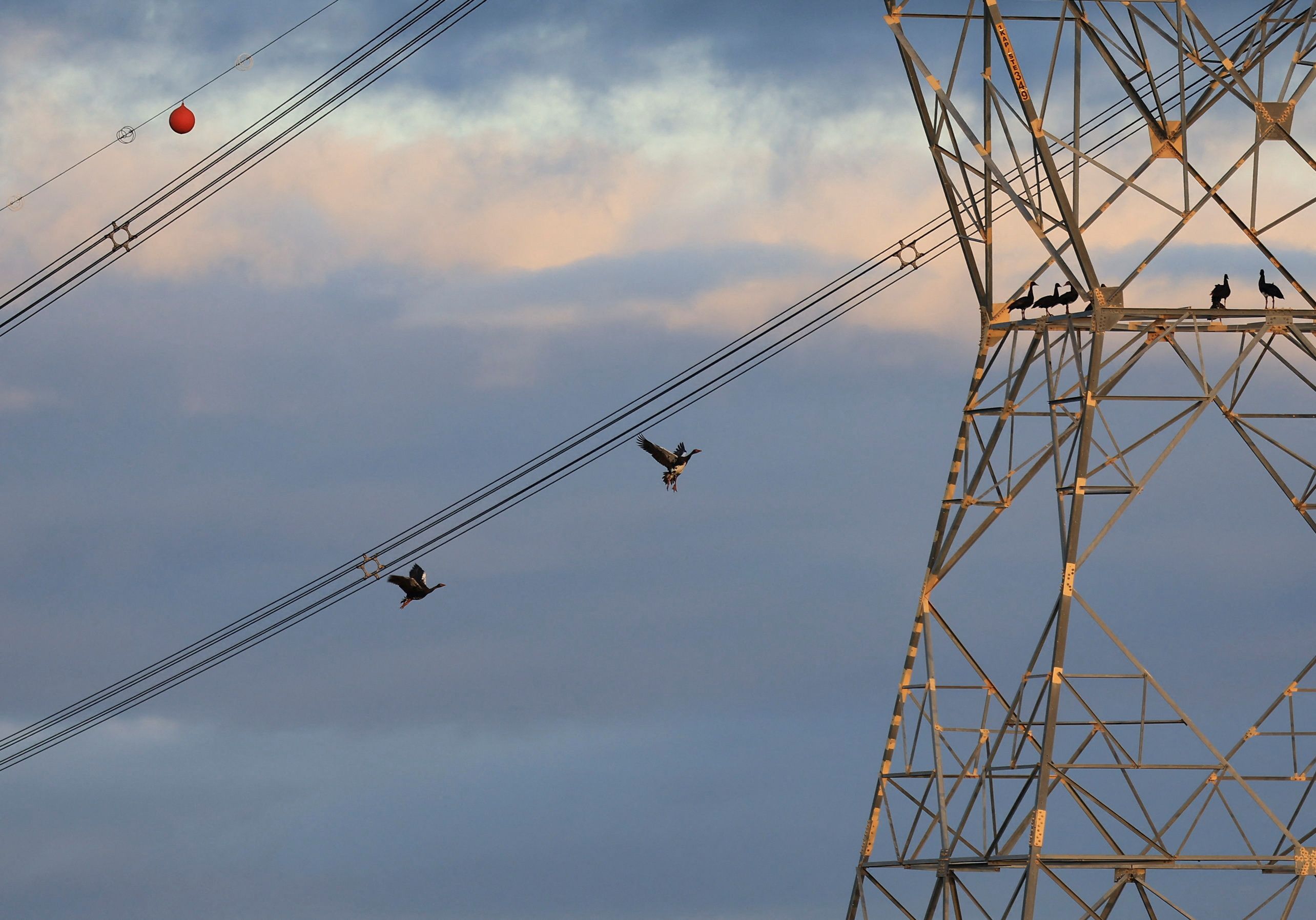 South Africa marks 231 consecutive days in 2025 without loadshedding