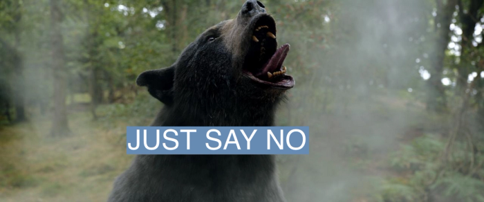Cocaine Bear