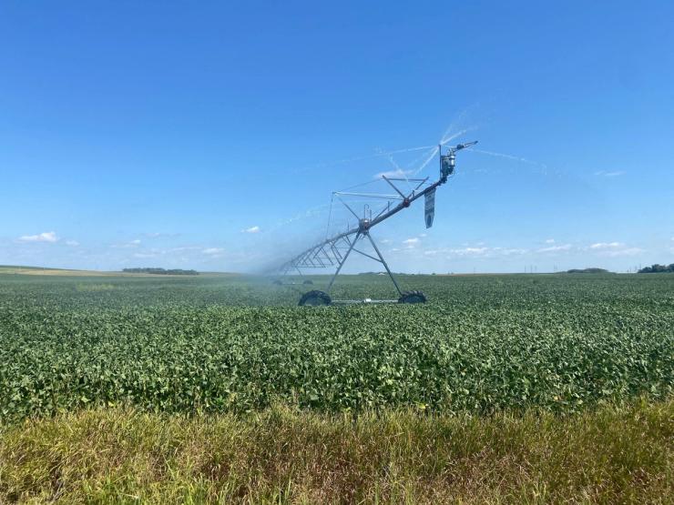 Soybeans are irrigated in Platte County, Nebraska.