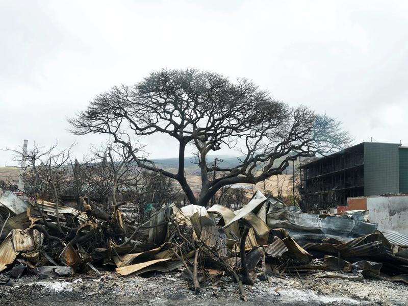 A view shows the damages as U.S. President Joe Biden and first lady Jill Biden (not pictured) visit the fire-ravaged town of Lahaina on the island of Maui in Hawaii, U.S., August 21, 2023. REUTERS/Kevin Lamarque