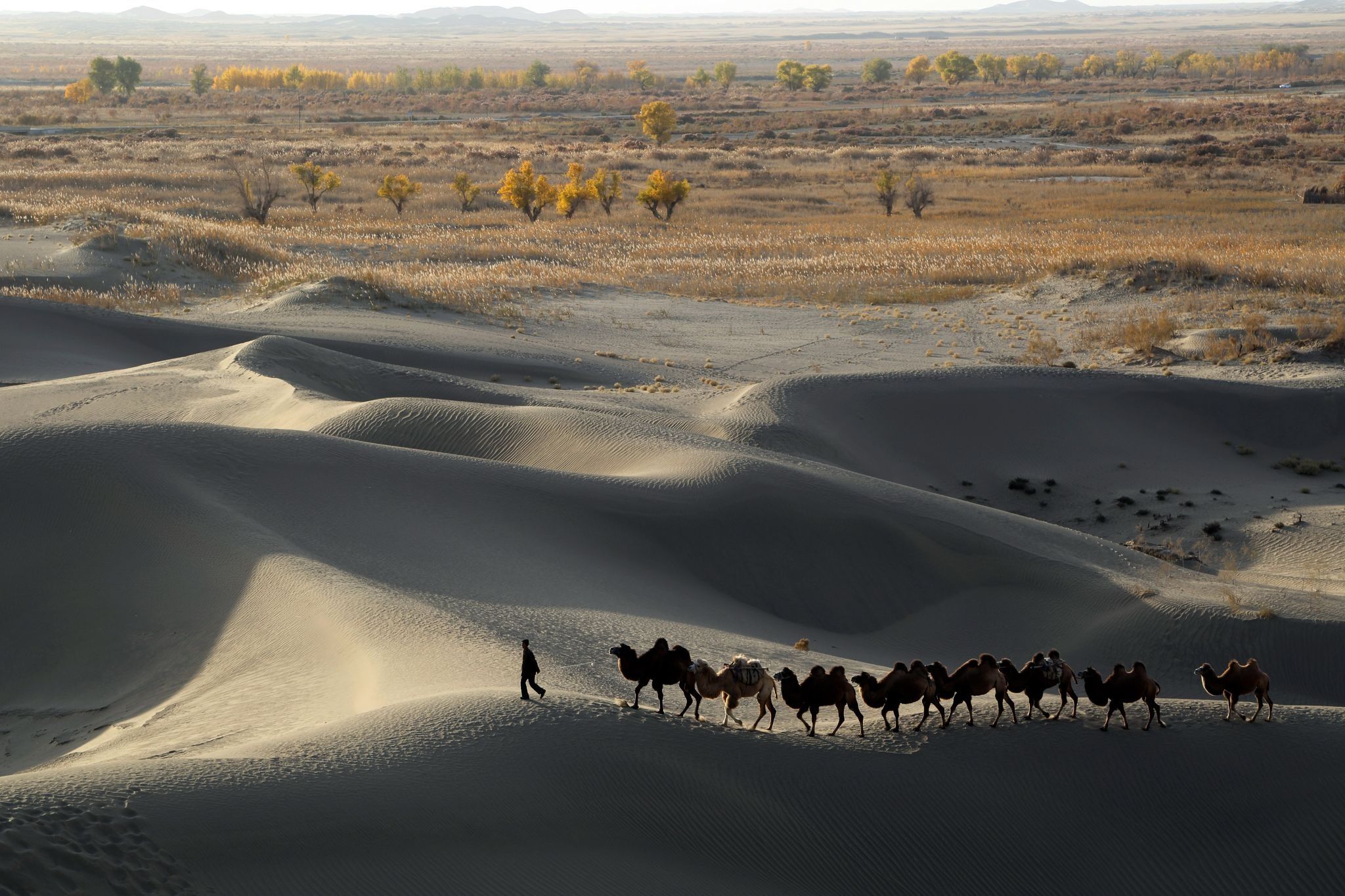 China contains ‘Sea of Death’ desert with forestation