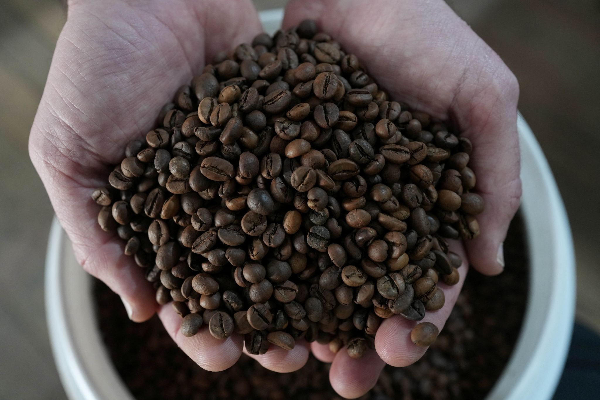 Brazilian coffee beans