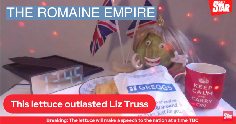 The Daily Star’s live cam has focused on the wig-clad head of iceberg lettuce for seven days.