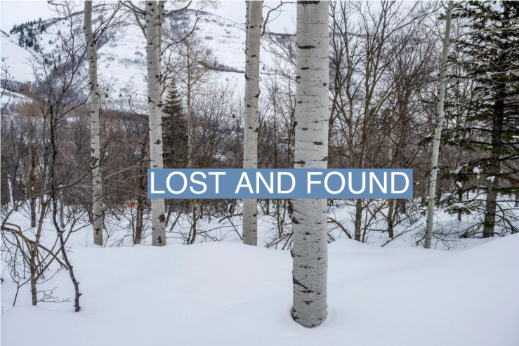 Winter forest with quaking aspen (Populus tremuloides) trees, the state tree of Utah, at the Nordic Center of the Sundance Resort, also known as Sundance Mountain Resort, which is a ski resort located 13 miles (21 km) northeast of Provo, Utah, USA.