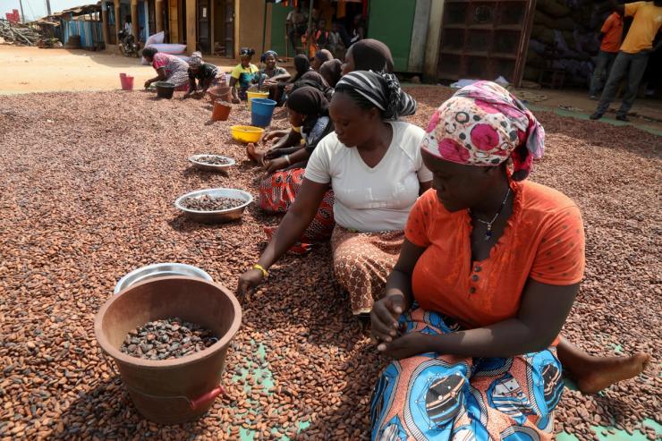 Women prepare cocoa beans next to a warehouse in Soubre.