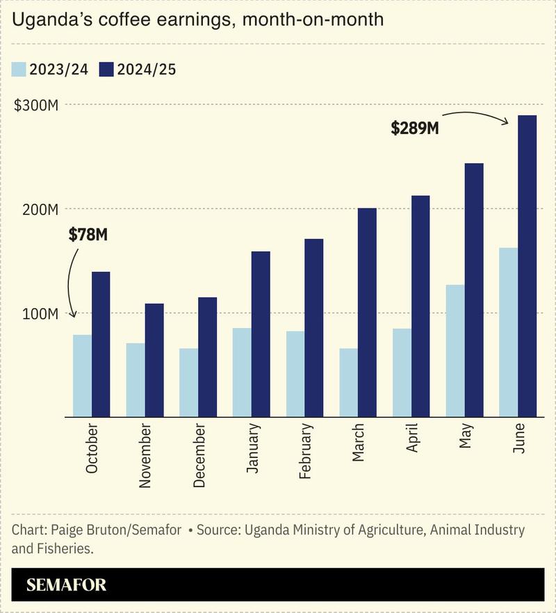 A chart showing Uganda’s coffee earnings month-on-month.
