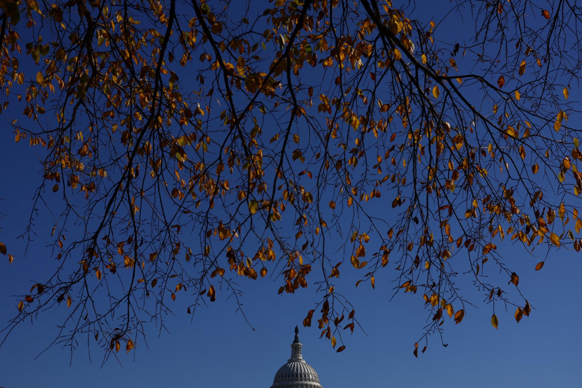 The US Capitol