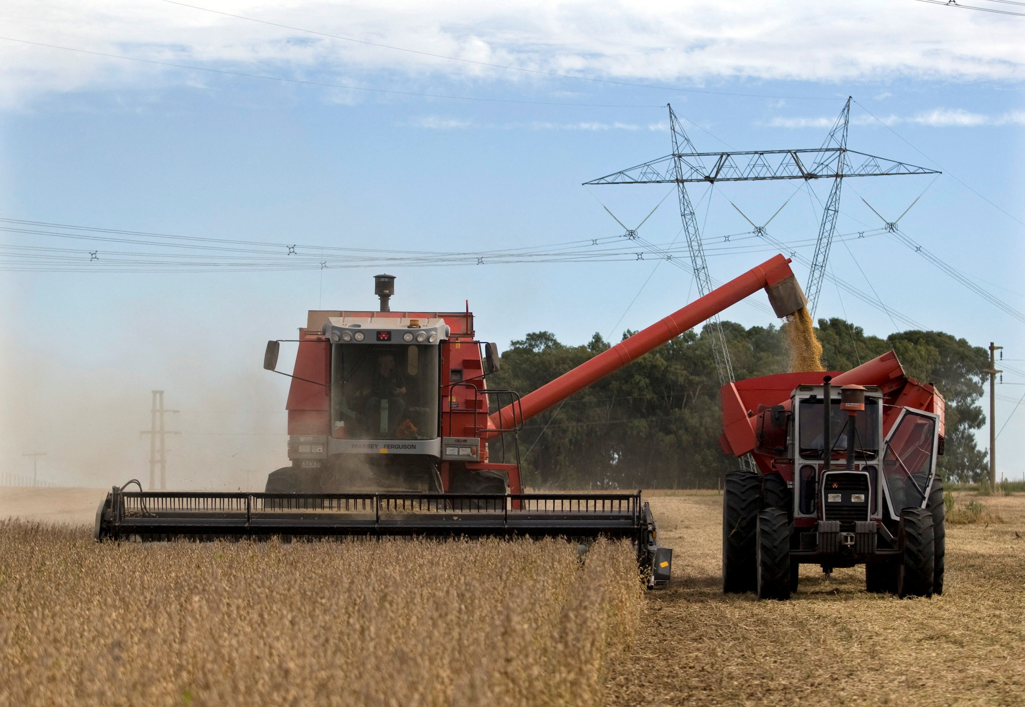Farmers harvest soybeans in Argentina’s town of Estacion Islas.