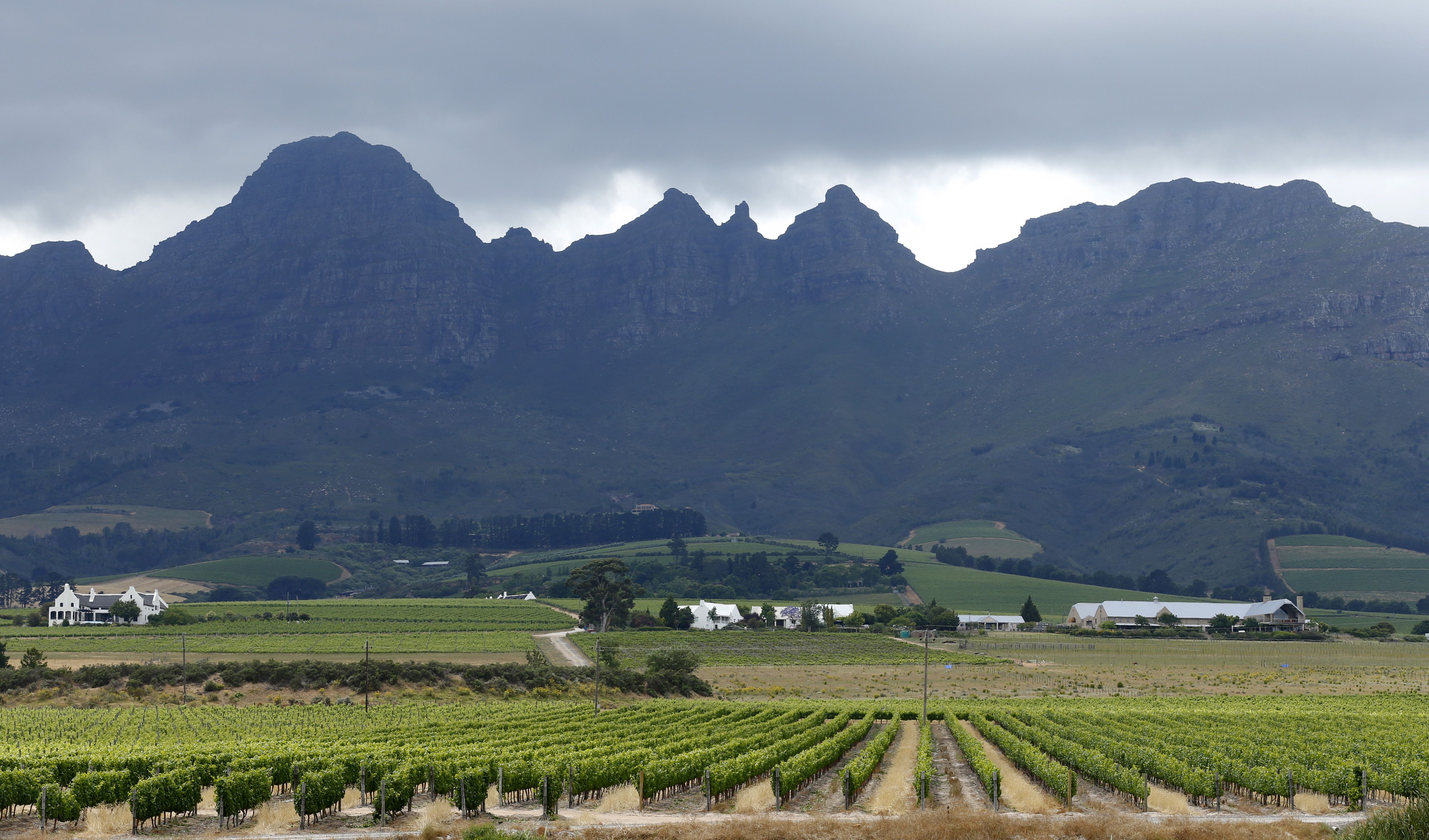 Vineyards sit beneath hills at a farm near Stellenbosch, in the country’s wine producing region.