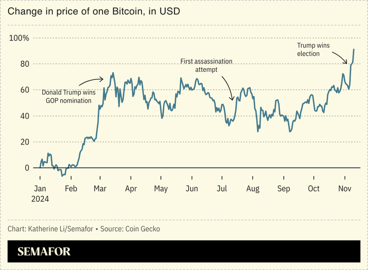 A line chart showing the change in the price of bitcoin from January to November 2024