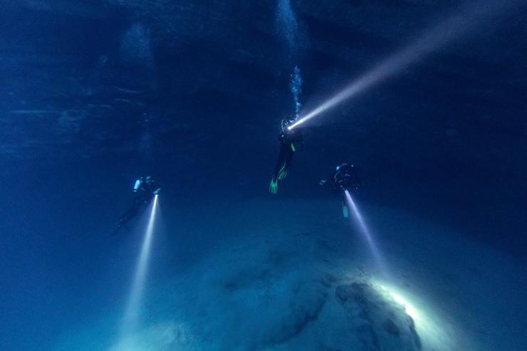 Divers