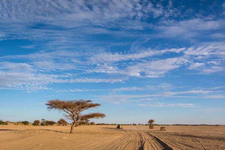A sand track on a hot day in Niger.