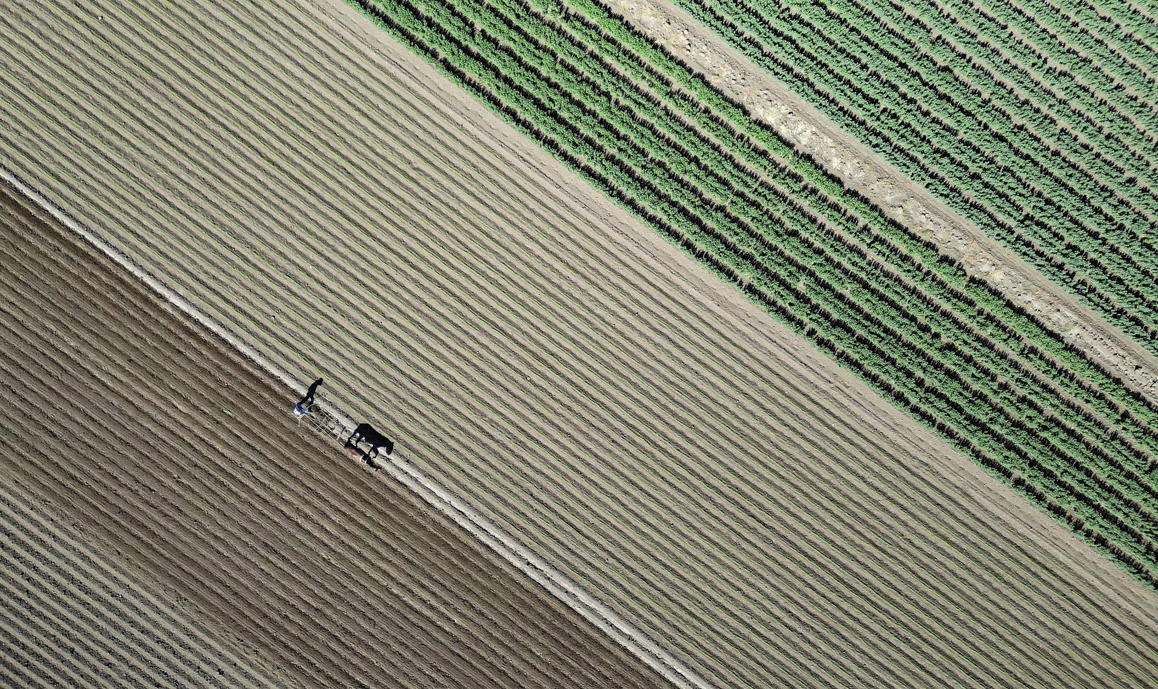 A farm in Chile