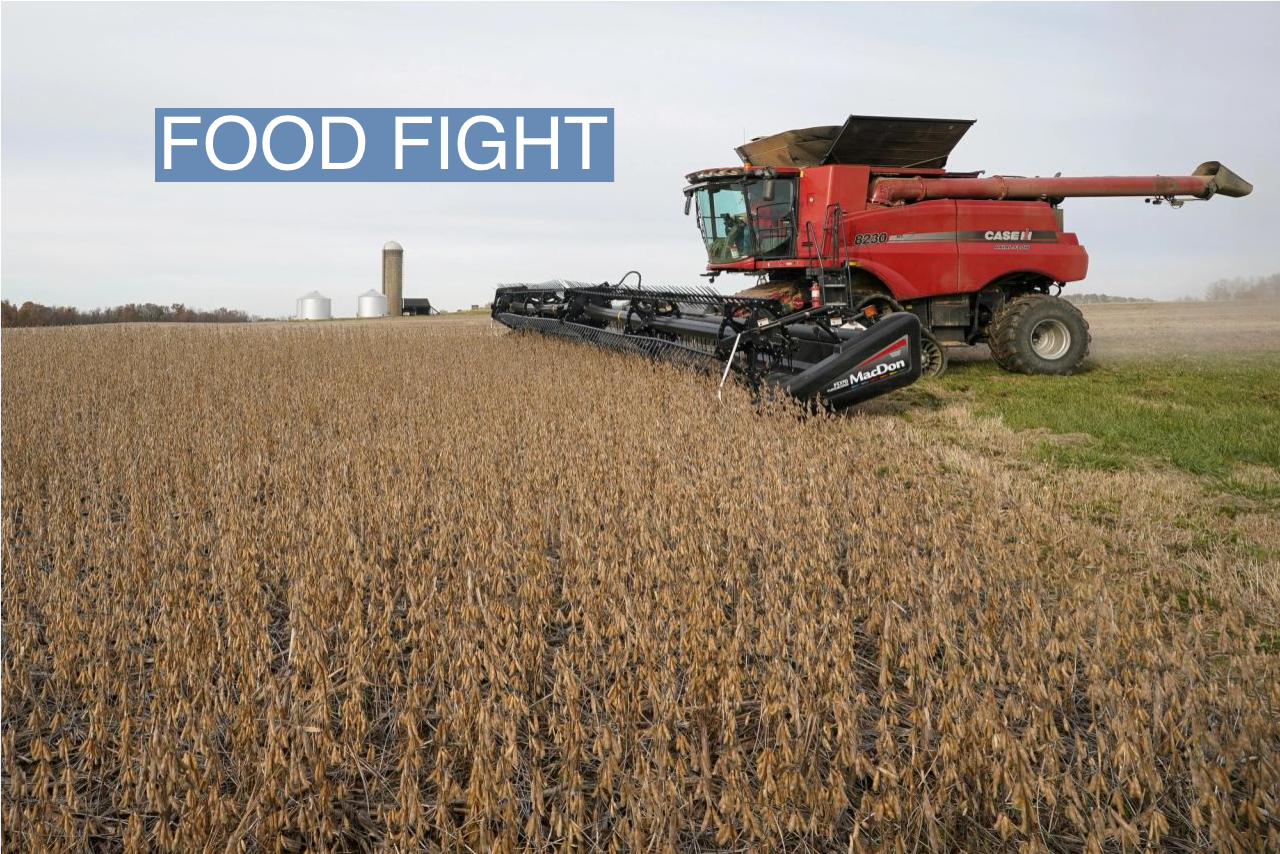 A soybean farm in Indiana
