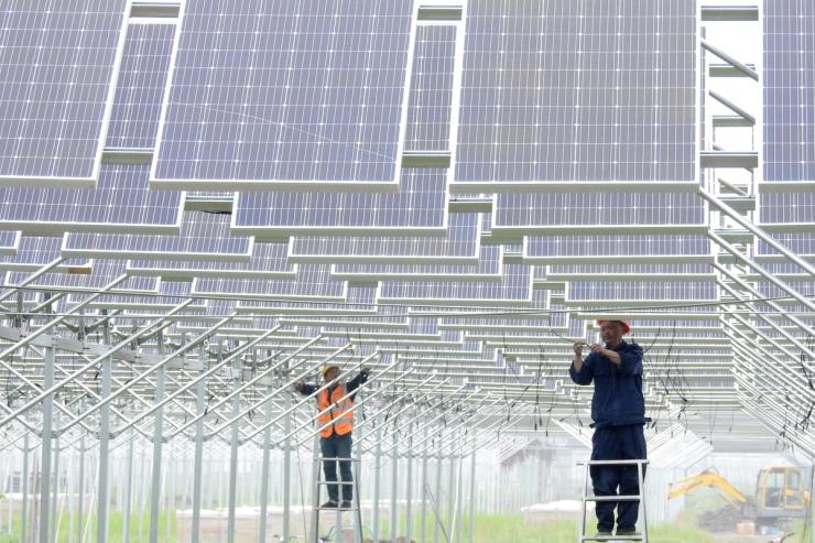 Chinese solar panels.
