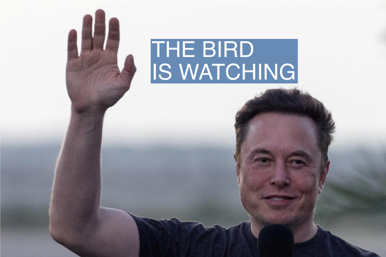 Twitter's new owner Elon Musk.