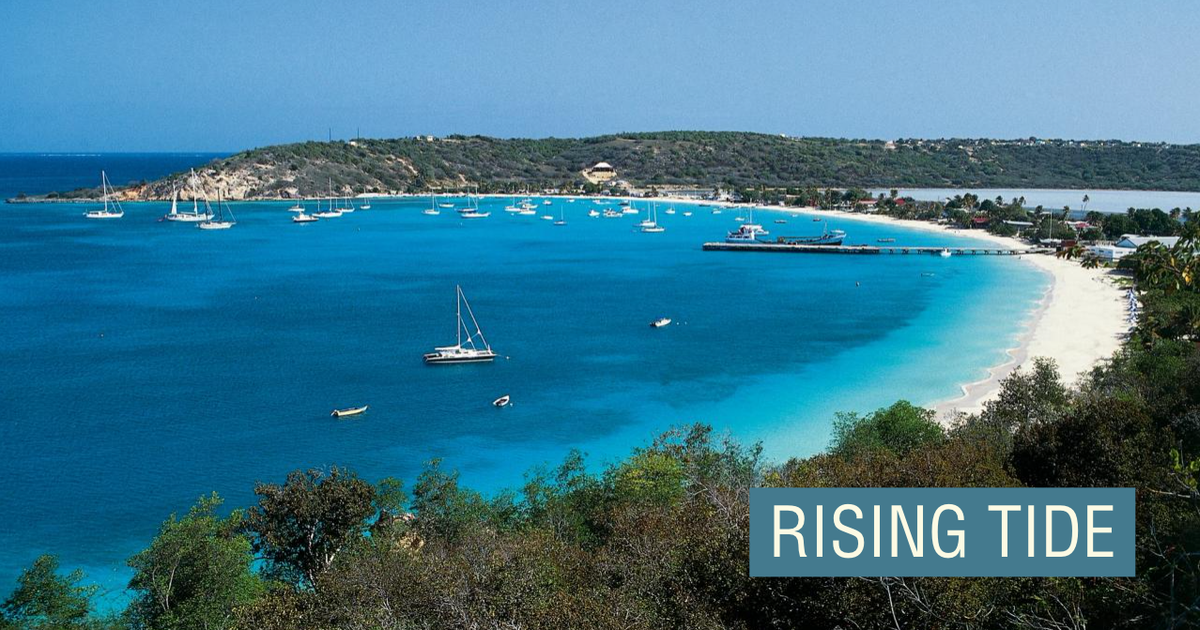 Caribbean island of Anguilla makes millions from .ai web domain