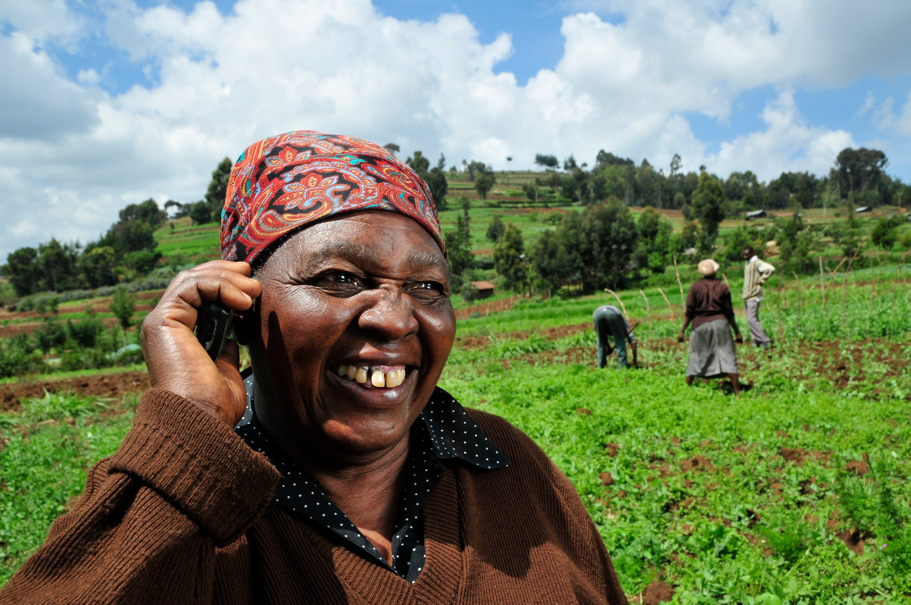 A Kenyan farmer uses a mobile phone in a field. 