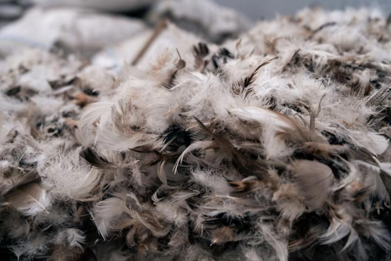 semafor.com - Rachyl Jones - Startup uses AI to recycle scraps into new fabrics