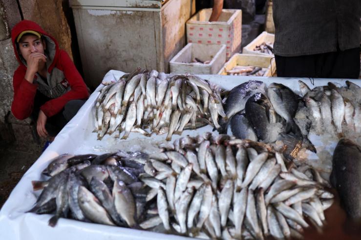 An Iraqi vendor shows different kinds of fish to customers at fish market at in Najaf, Iraq November 30, 2022.