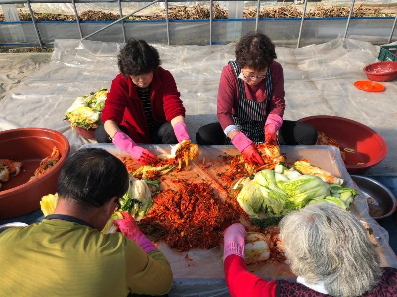 People prepare kimchi in this photo from Nov. 2020.
