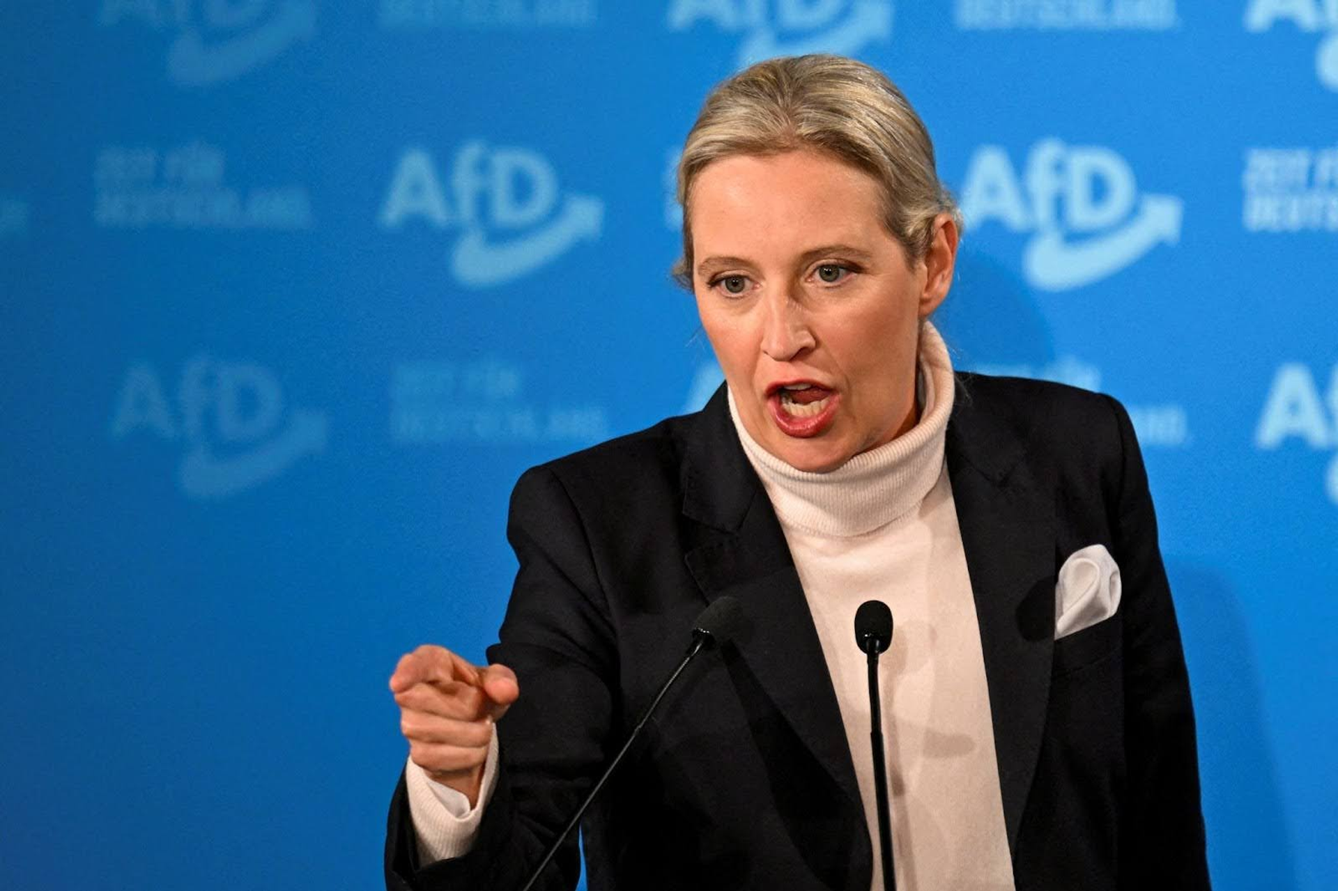 AfD co-leader Alice Weidel. 