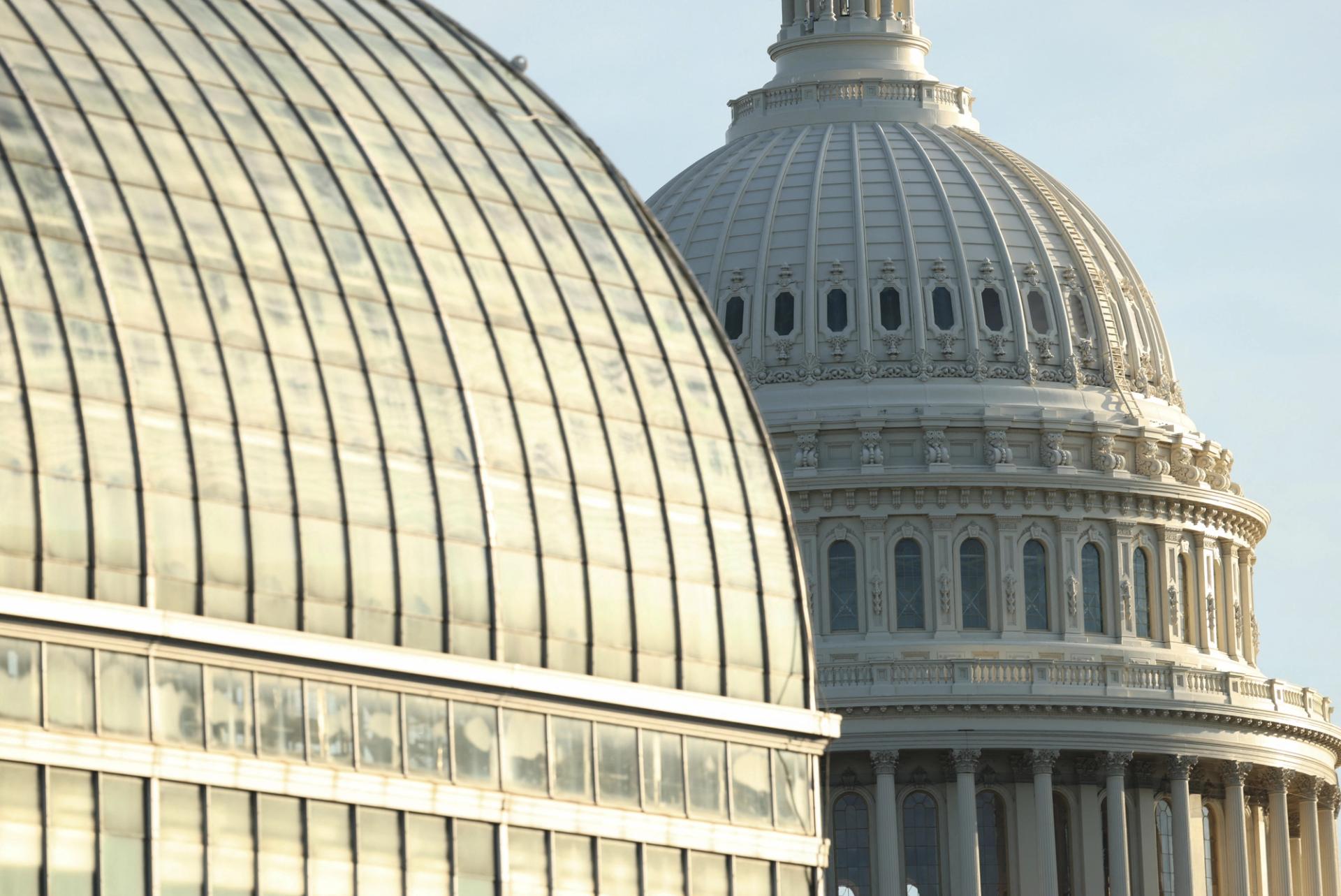 The Capitol dome