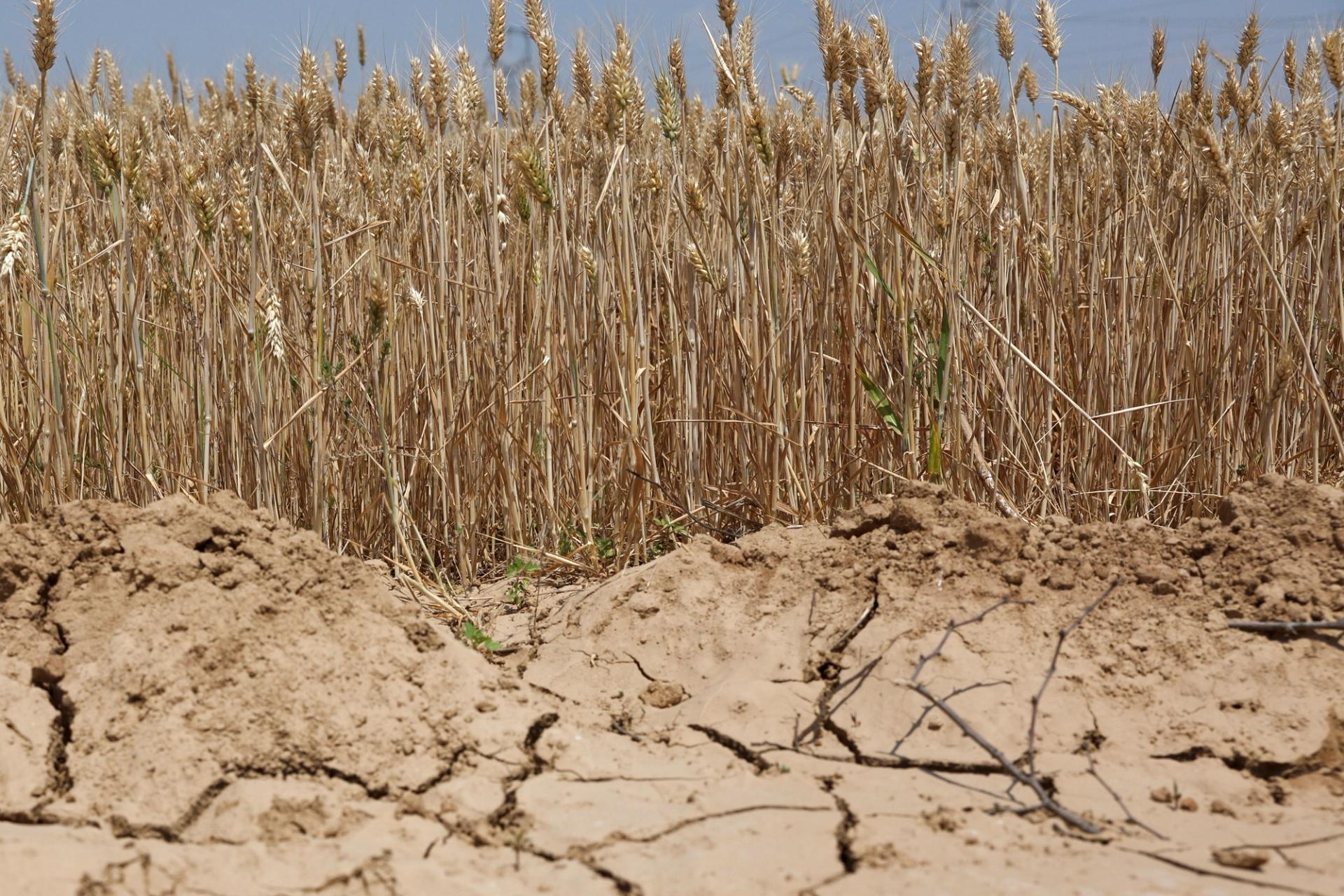 Drought in China