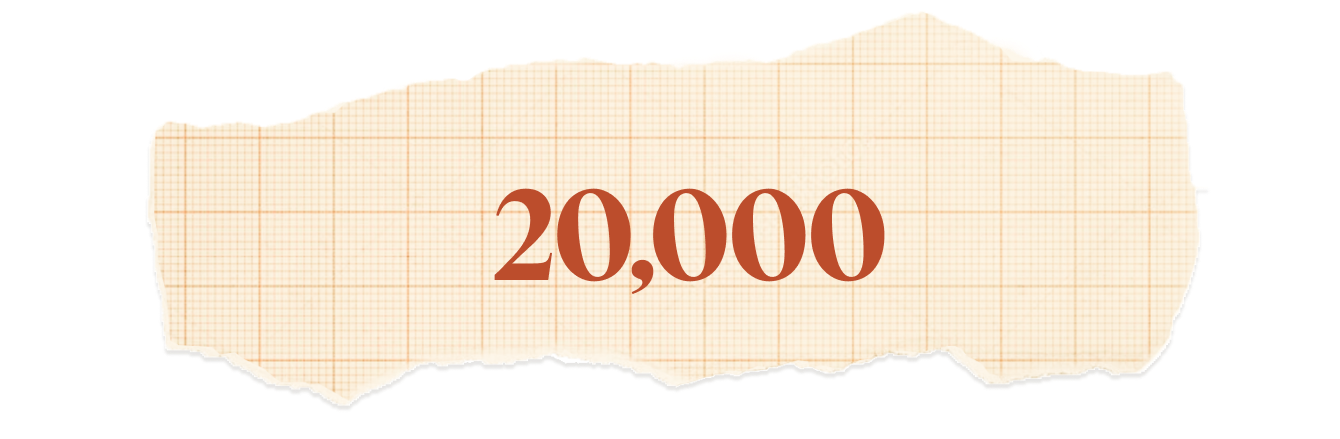 20,000.