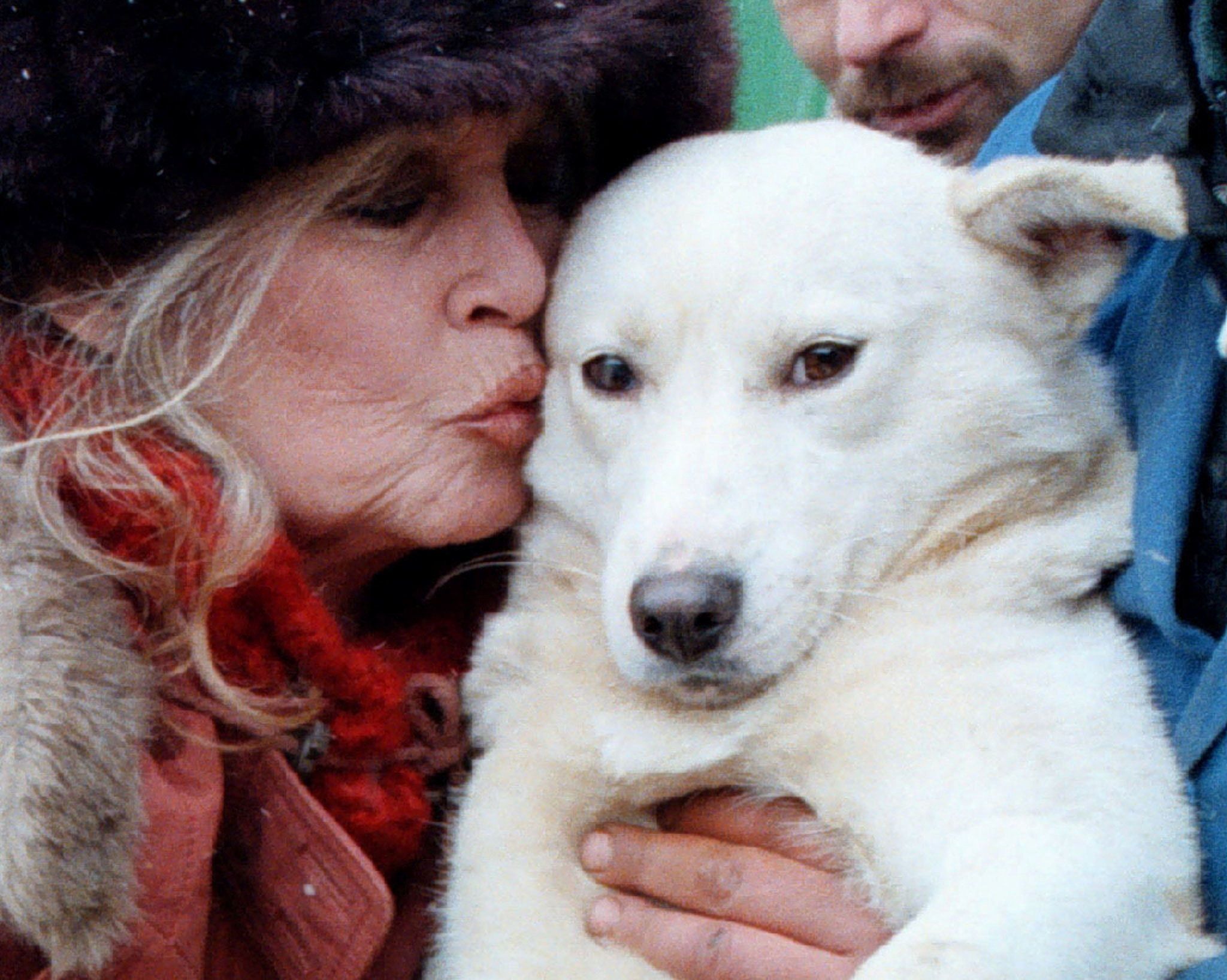 Brigitte Bardot kisses a stray puppy