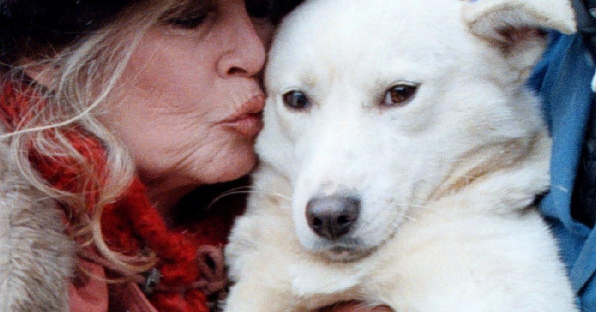 Brigitte Bardot, 91, âpersonified Franceâ