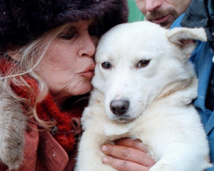 Brigitte Bardot kisses a stray puppy