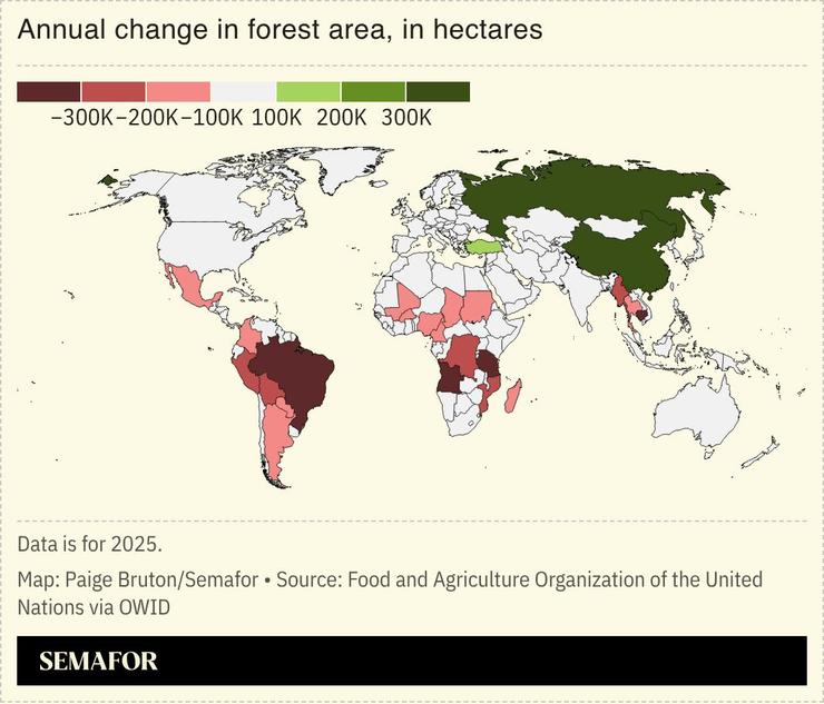 A chart showing the annual change in forest area, in hectares, across the world.