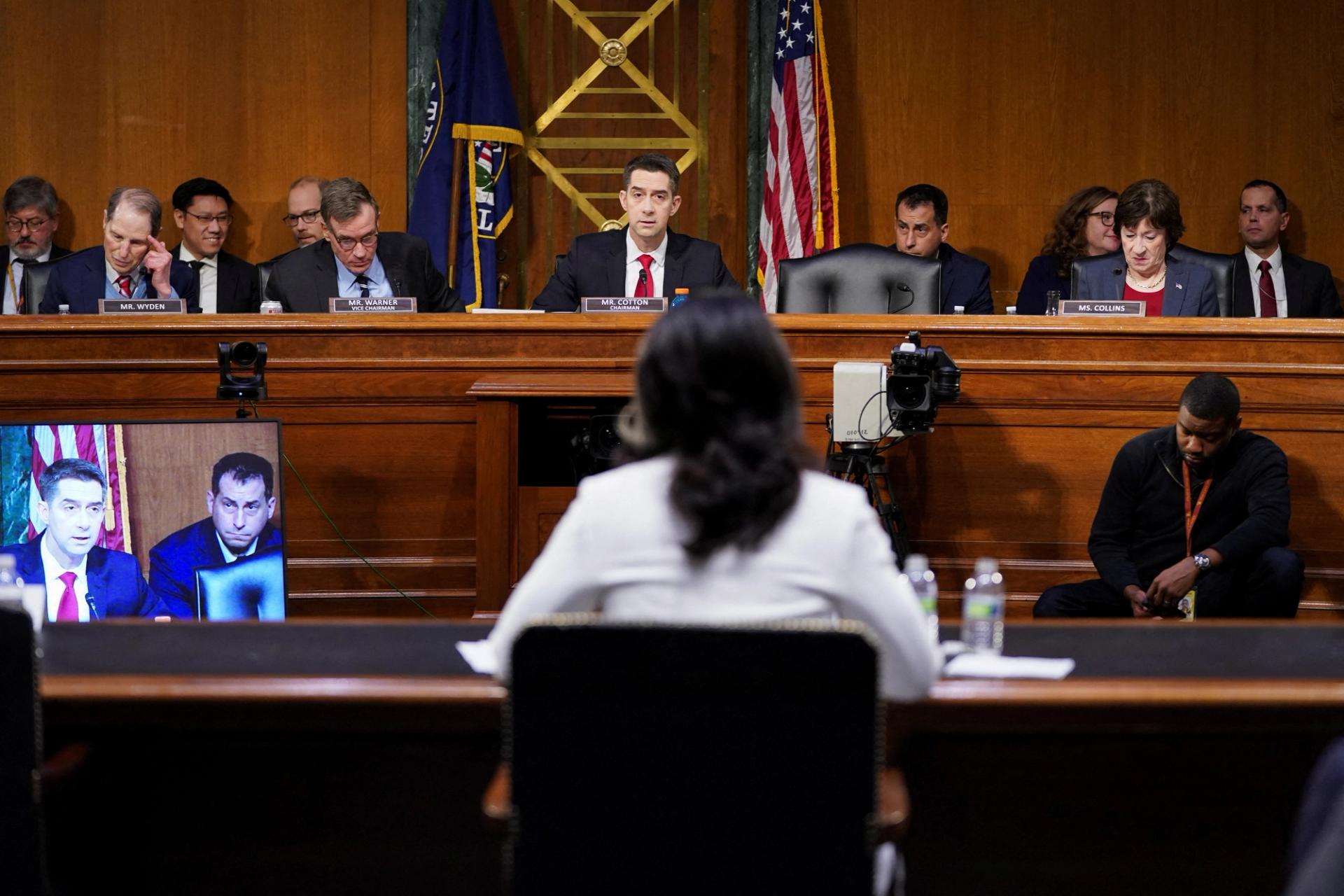 Sen. Tom Cotton and Tulsi Gabbard