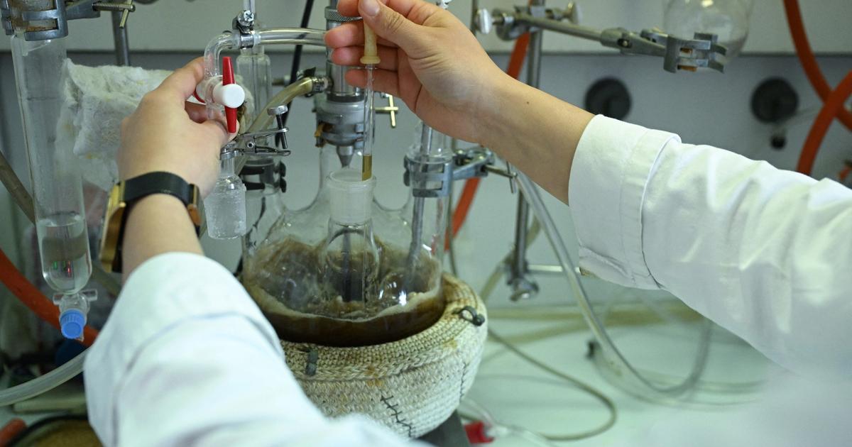 AI teaches a bitter biology lesson