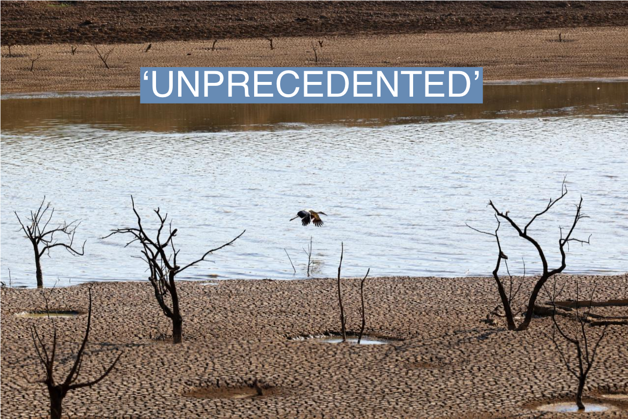 A bird flies over the water and cracked ground of the Sierra Boyera Reservoir, which is at 0.01% of its capacity, in Belmez, southern Spain April 26, 2023. REUTERS/Elena Rodriguez