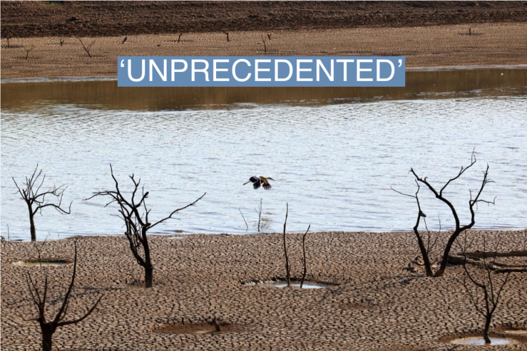A bird flies over the water and cracked ground of the Sierra Boyera Reservoir, which is at 0.01% of its capacity, in Belmez, southern Spain April 26, 2023. REUTERS/Elena Rodriguez
