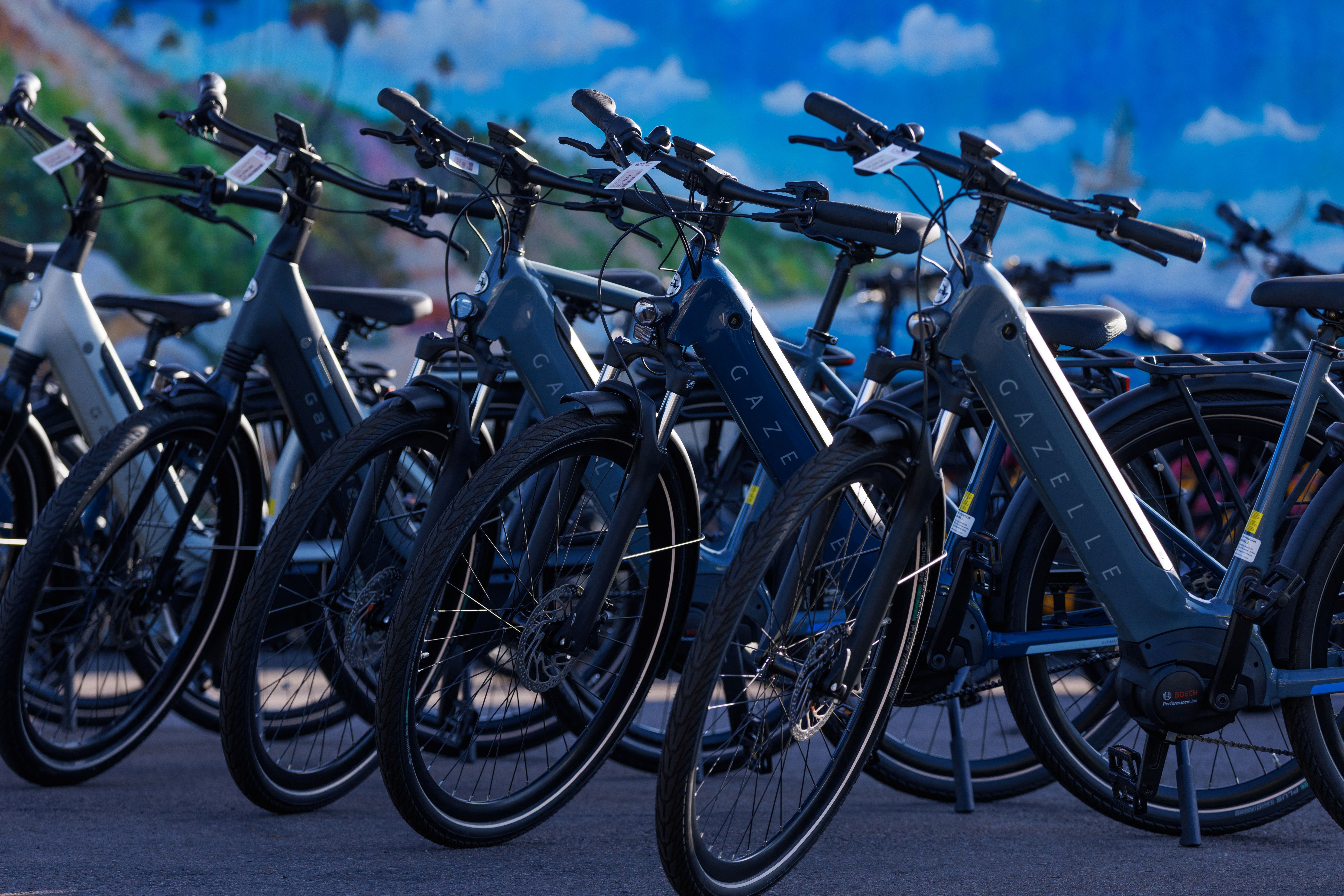 Electric E-bikes are shown for sale at an electric bike store in California
